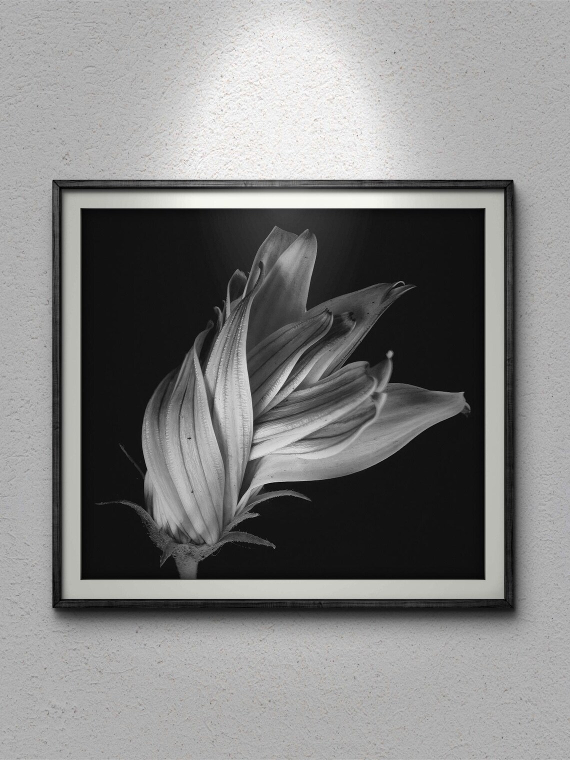Blooming Flower, Elegant Floral Art Print - Image 2