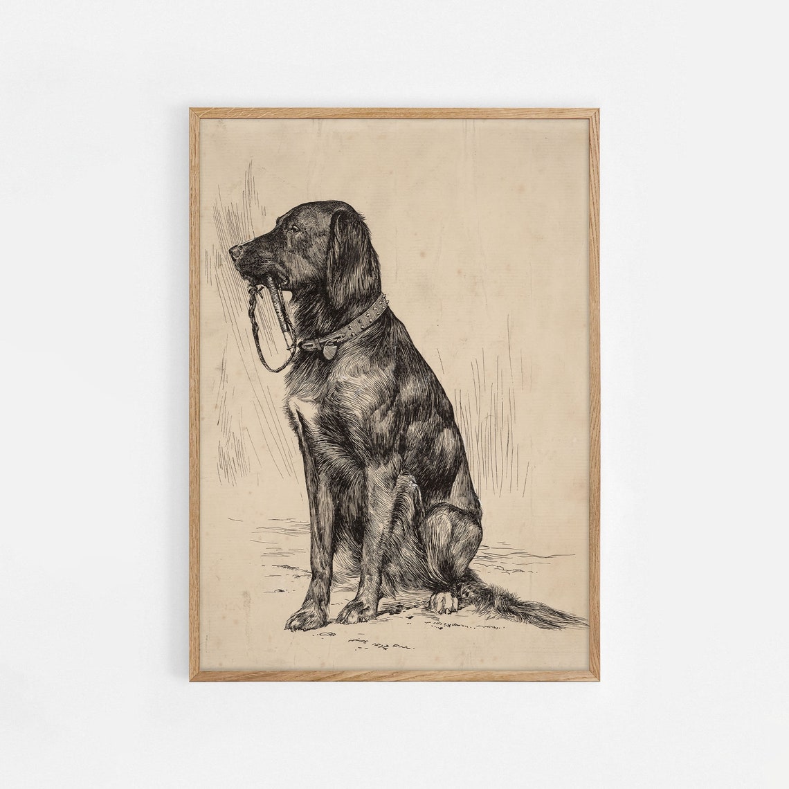 Black Labrador Art Print Vintage Dog Painting Antique Animal Portrait Dog Sketch Farmhouse Painting Art Vintage Dog Print