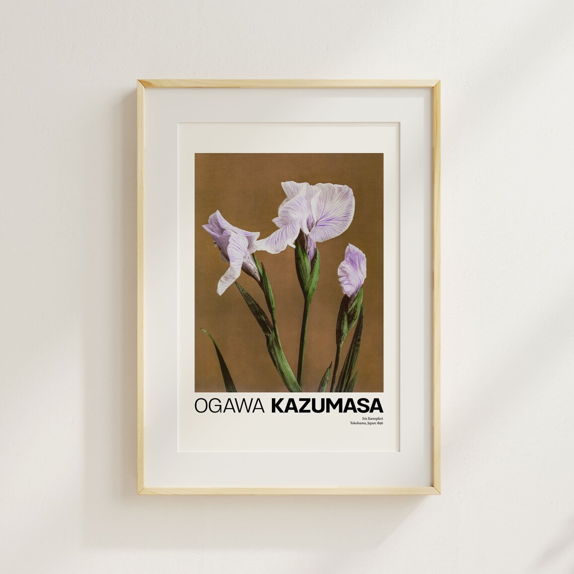 Ogawa Kazumasa Iris Kaempferi 1896 Japanese Botanical Flower Poster - Image 4