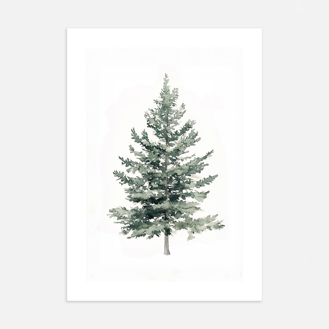 Evergreen Pine Tree Minimalist Winter Watercolor Nature Poster - Image 3