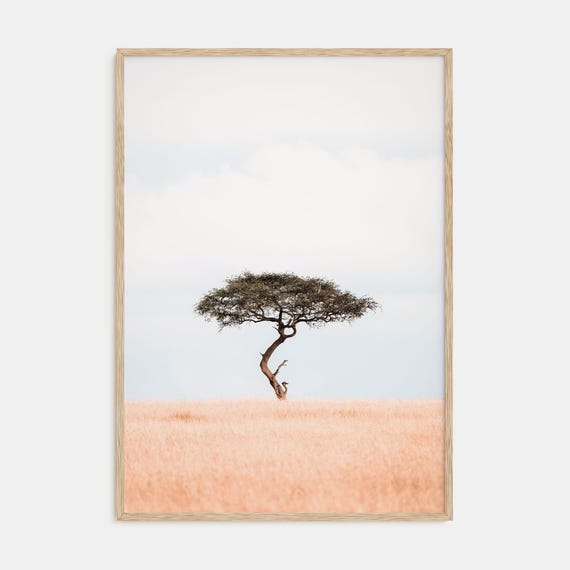 Acacia Tree Print Fine Art Color Photography Poster For Nature Lovers Home Decor Perfect Wall Art Accent