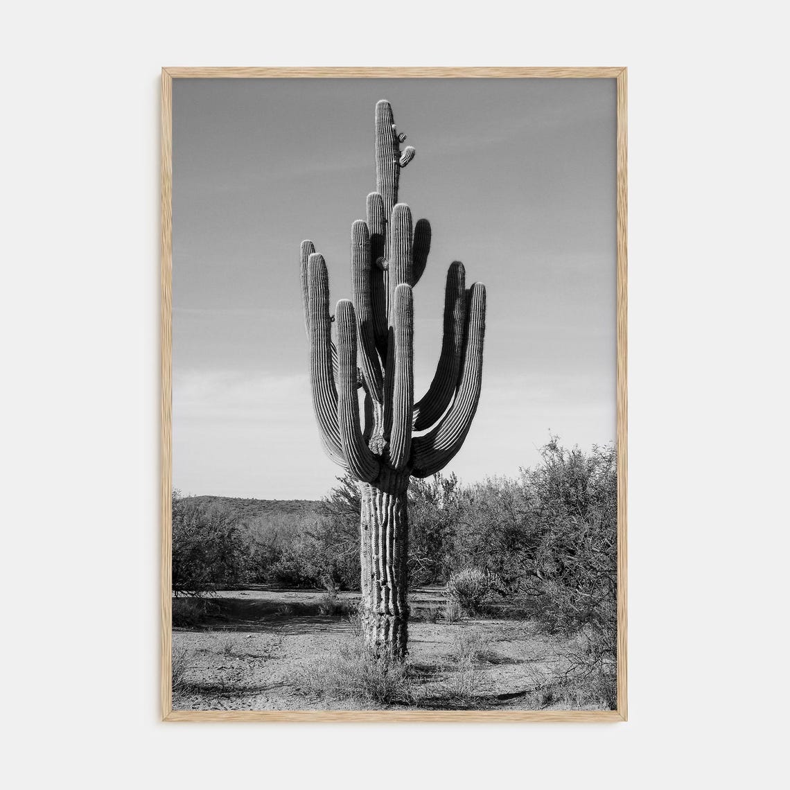 Black and White Tall Saguaro Cactus in Desert Landscape Poster