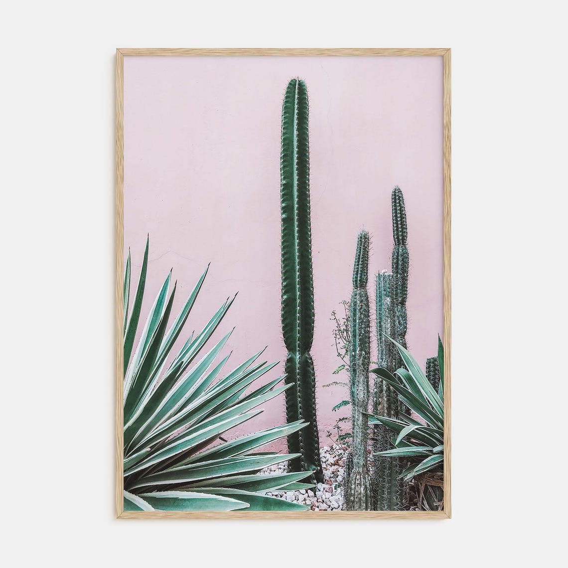 Tall Cactus Agave Pink Wall Minimalist Desert Botanical Poster