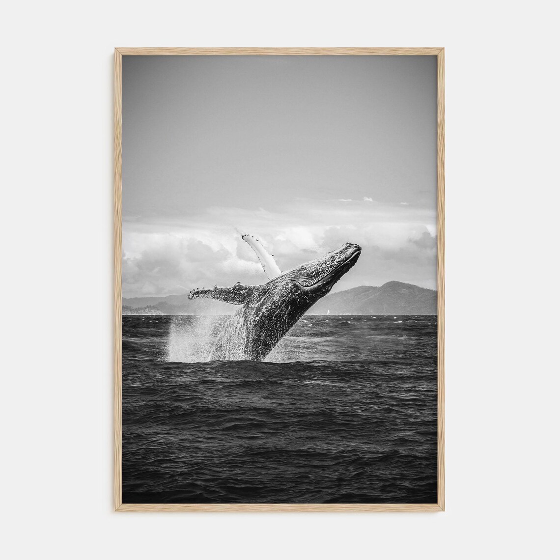 Whale Black and White Photography Poster, Minimalist