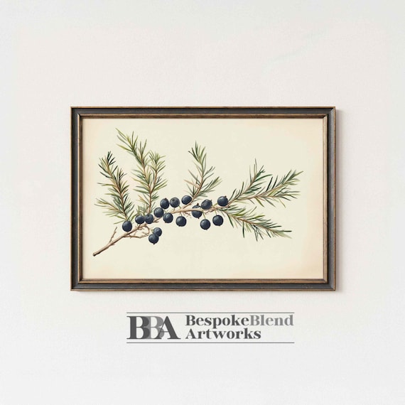 Juniper Branch Berry Botanical Watercolor Neutral Cream Print