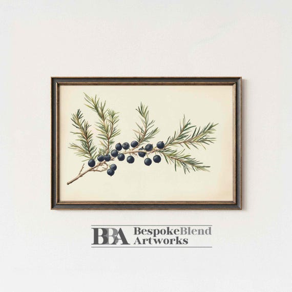 Botanical Wall Art Juniper Berry Poster Watercolor Branch Neutral Greenery Scandinavian Decor Kitchen Herb Print