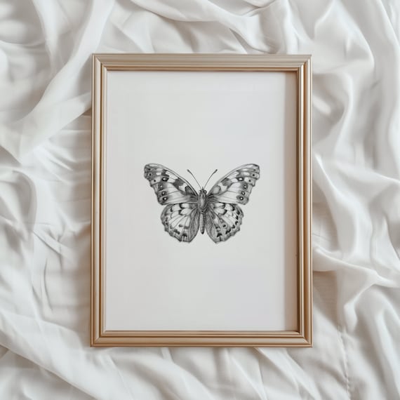 Butterfly Sketch - Minimalist Nature Art