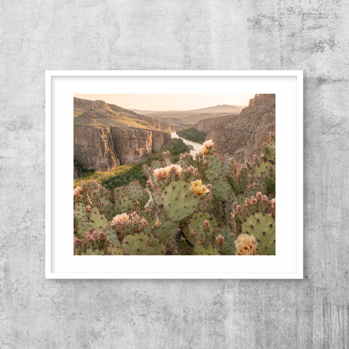 Blooming Prickly Pear Cactus Desert Canyon Golden Hour Photo Poster - Image 3