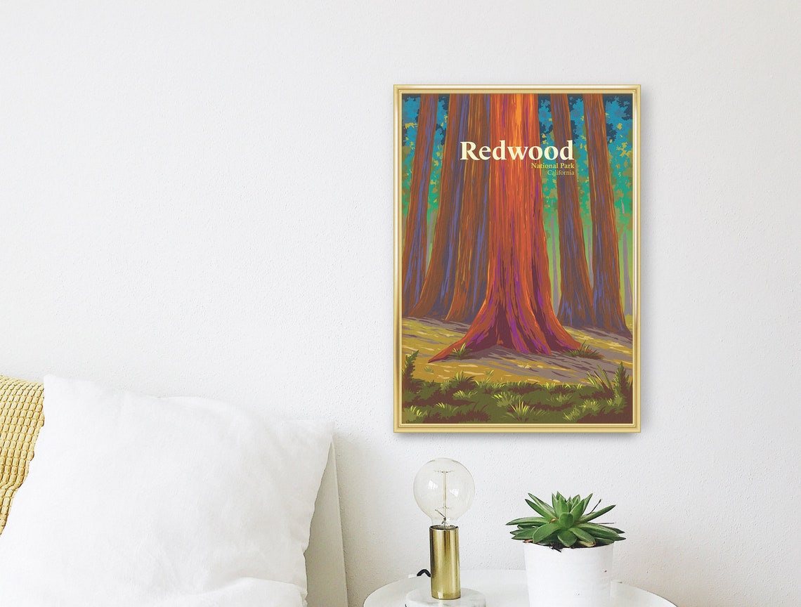 Redwood National Park Giant Tree Trunk Forest Closeup Poster - Image 3