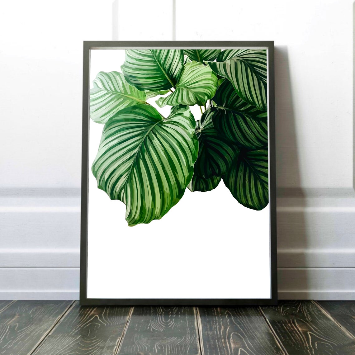 Calathea Orbifolia Art Botanical Print Simple Form Leaf Wall Plant Artwork Gallery Addition