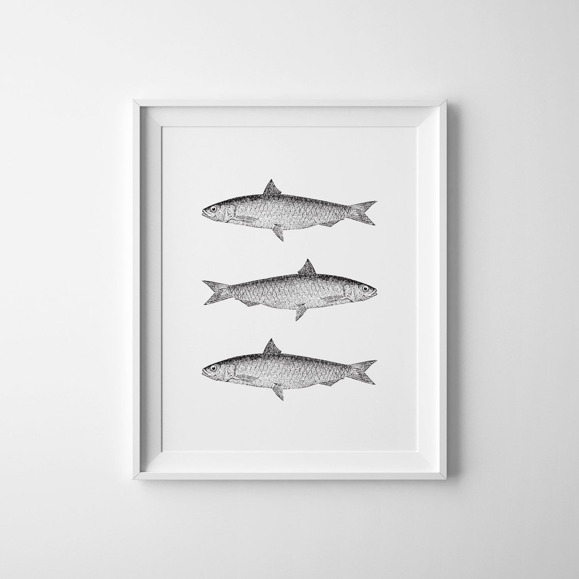 Vintage Fish Trio Black and White Engraving Style Nautical Art Poster