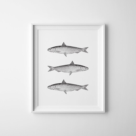 Vintage Fish Print Fish Art Fish Wall Art Fishing Sign Fish Print Fishes Poster Nautical Wall Decor