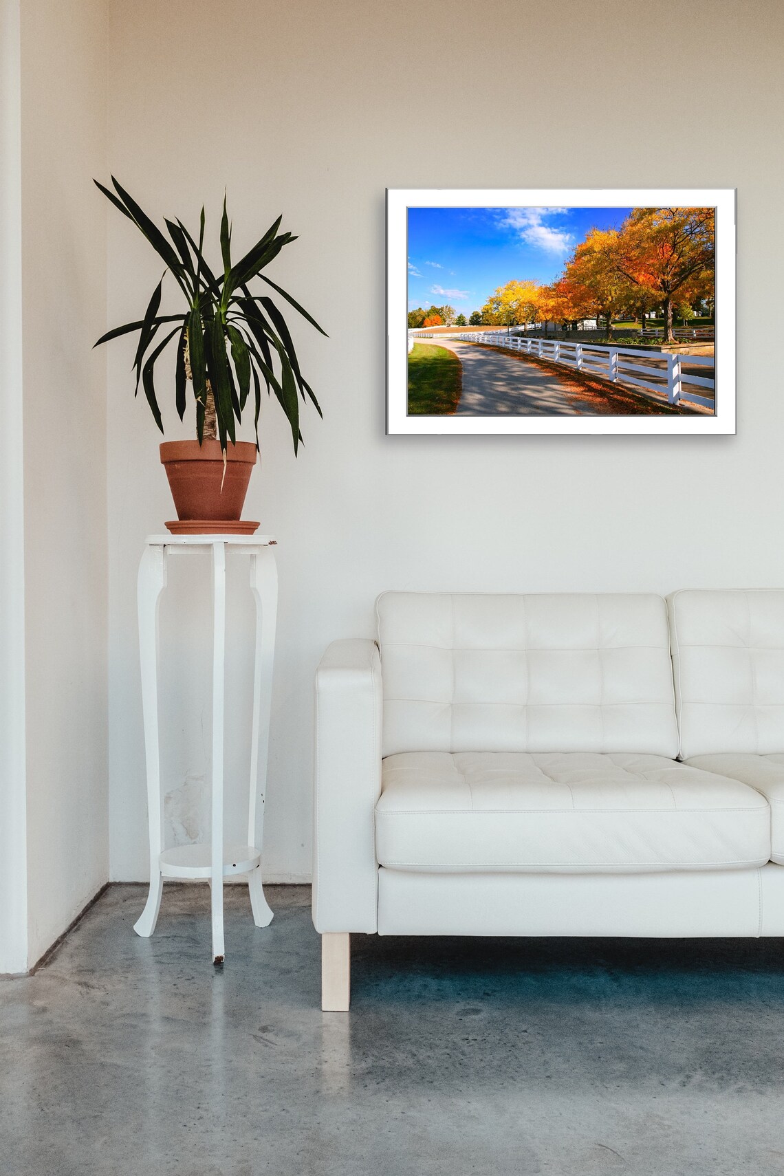 White Fence Horse Farm Lane with Golden Autumn Trees Photo Poster - Image 3