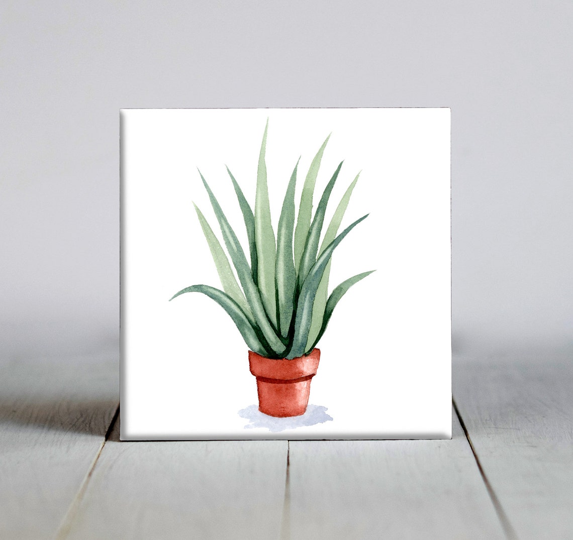 Aloe Vera Potted Plant Watercolor Botanical Ceramic Tile Wall Art