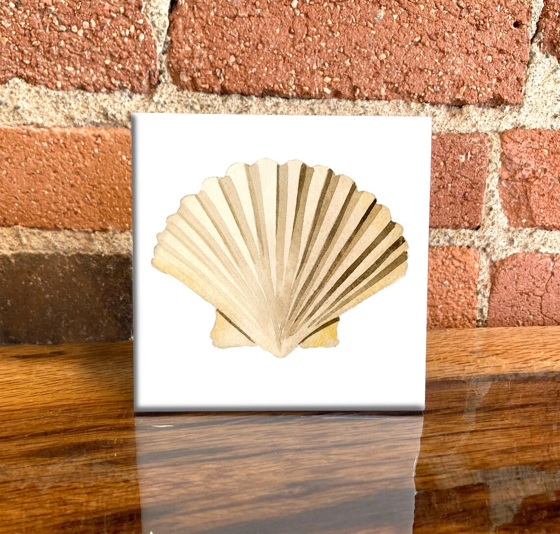 Sea Shell Ceramic Tile, Coastal Beach Wall Art Print