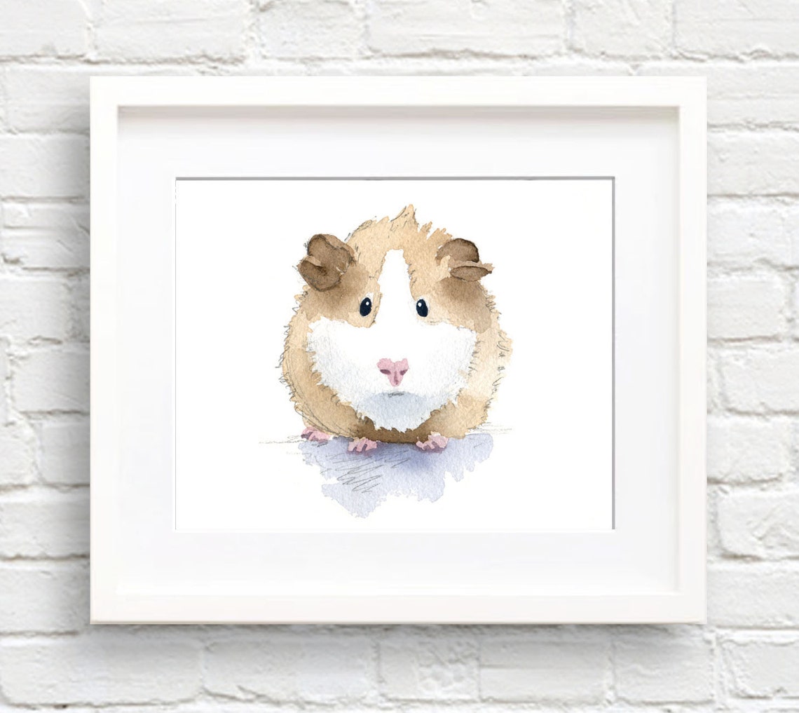 Fluffy Brown And White Guinea Pig Watercolor Cute Pet Portrait Poster