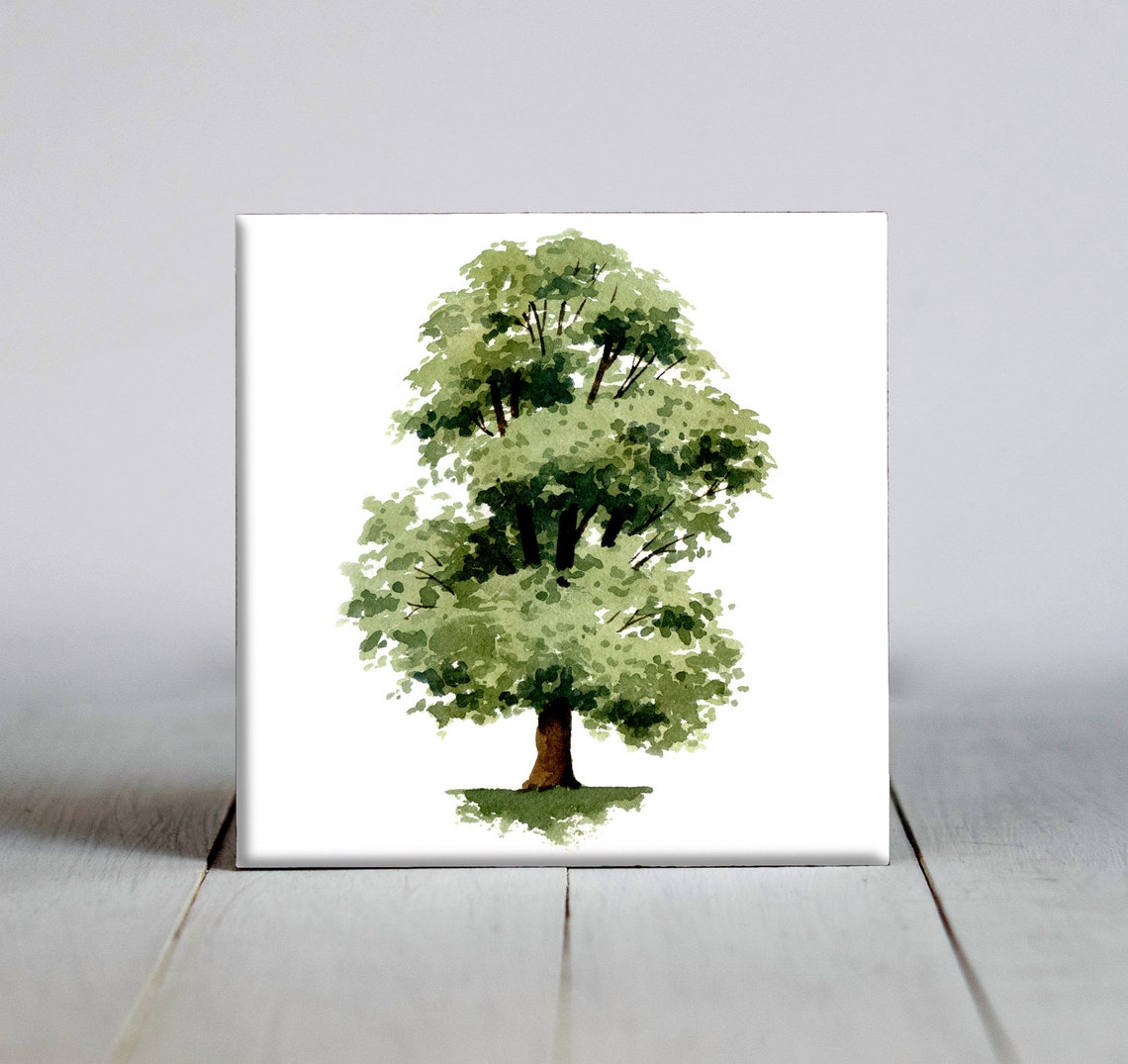 Graceful Tall Elm Tree With Airy Canopy Watercolor Nature Tile Poster
