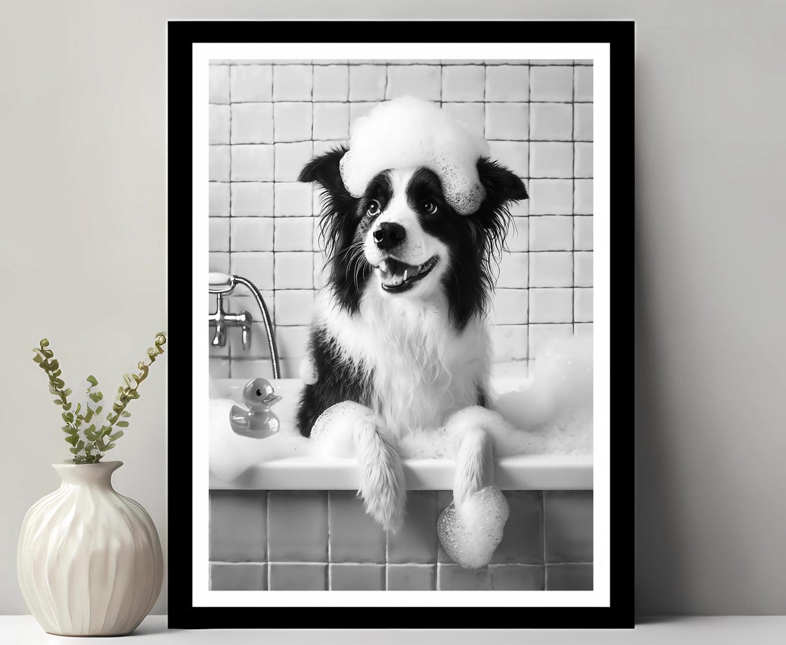 Border Collie in a Bubble Bath with Rubber Duck Funny Bathroom Poster