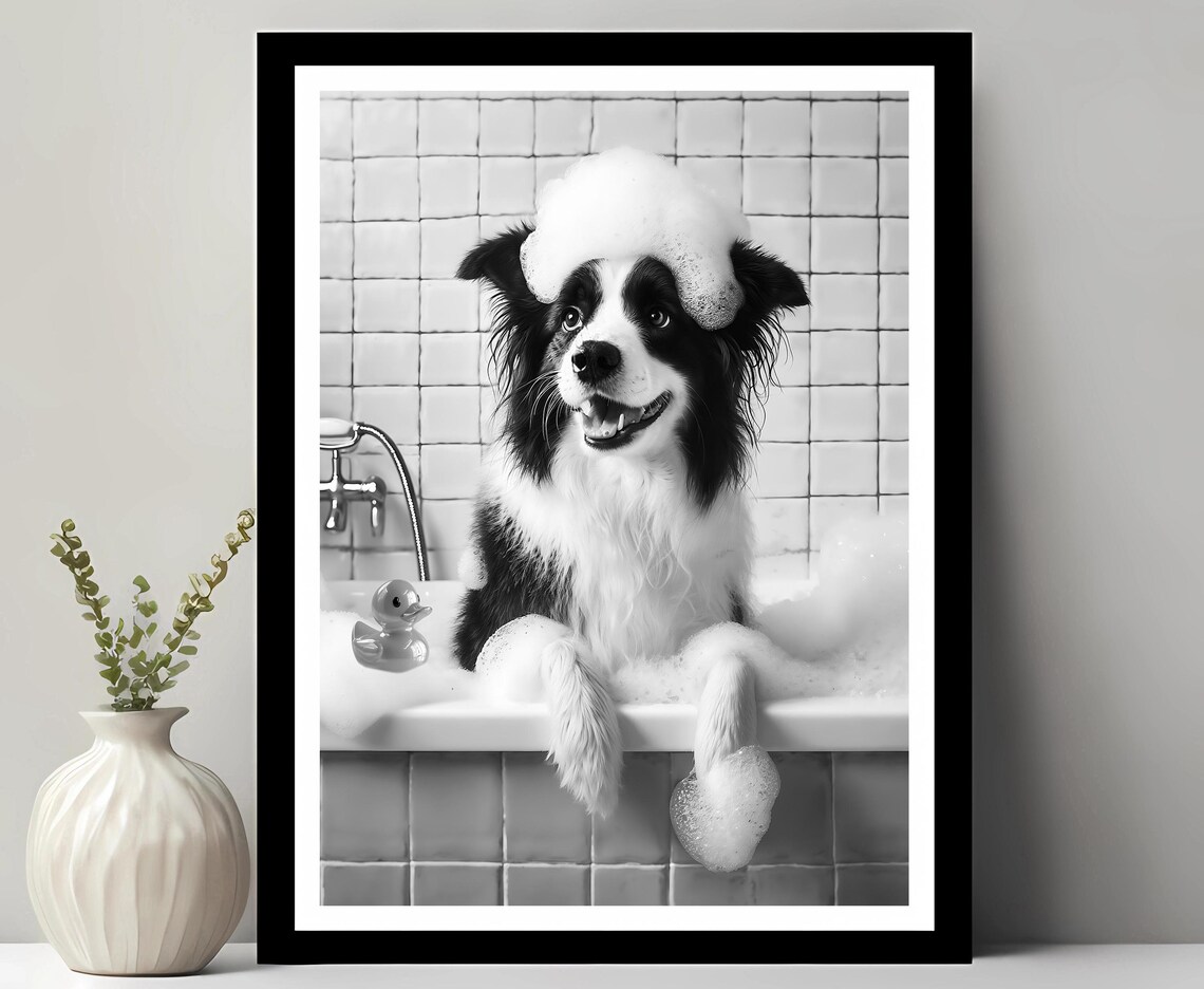 Border Collie Wall Art Funny Bathroom Decor Pet Portrait Petshop Dog Gift In Bubble Bath