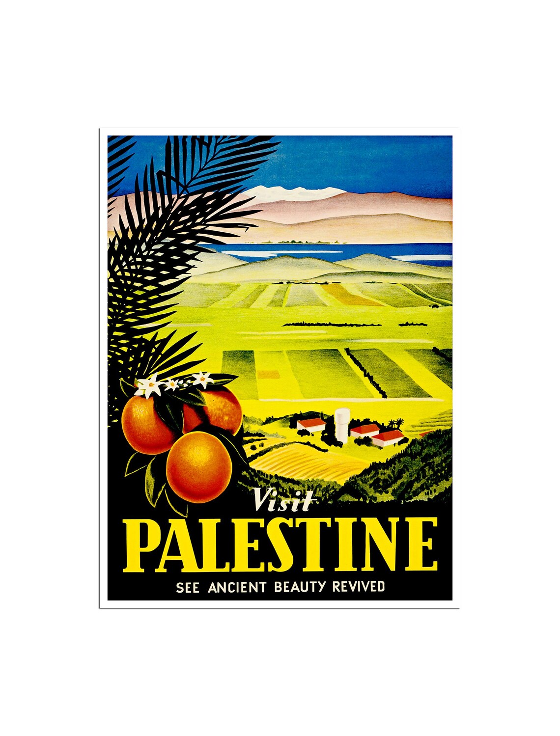 Visit Palestine Ancient Beauty Revived Vintage Orange Grove Poster