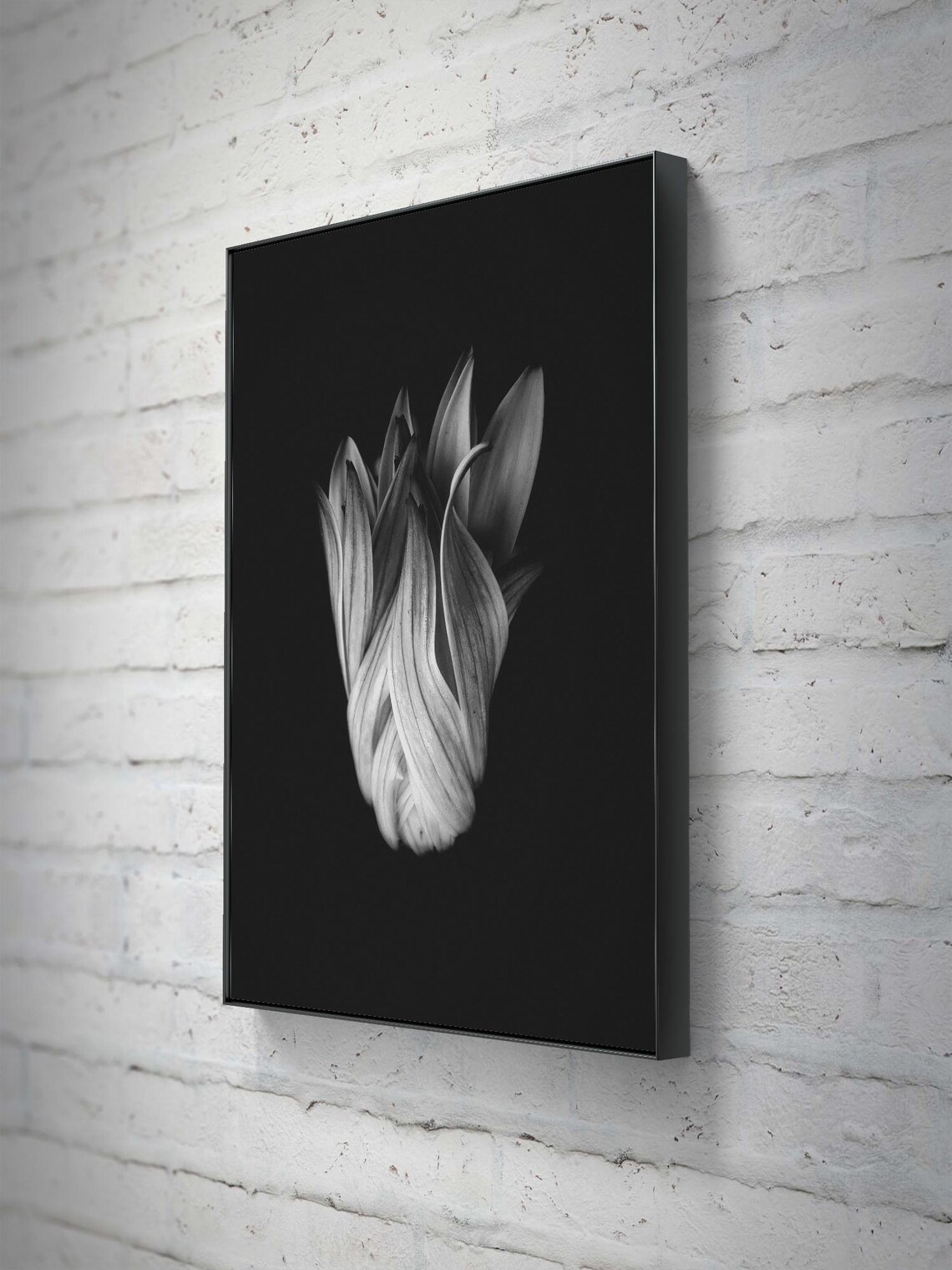 Black And White Flower Bud Photograph, Floral Art - Image 2