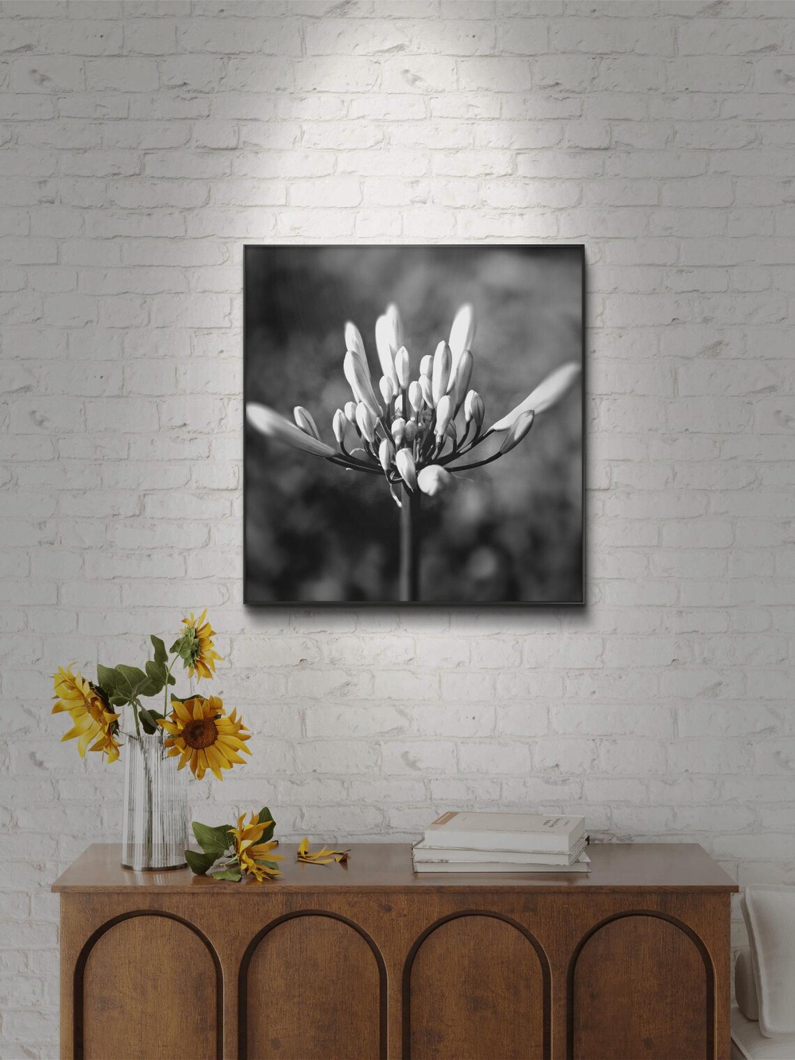 Black And White Flower In Bloom Wall Art