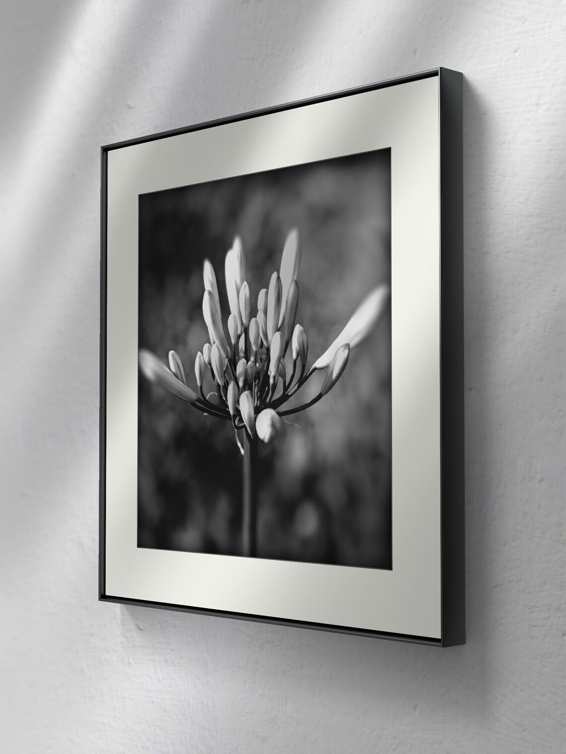 Black And White Flower In Bloom Wall Art - Image 3