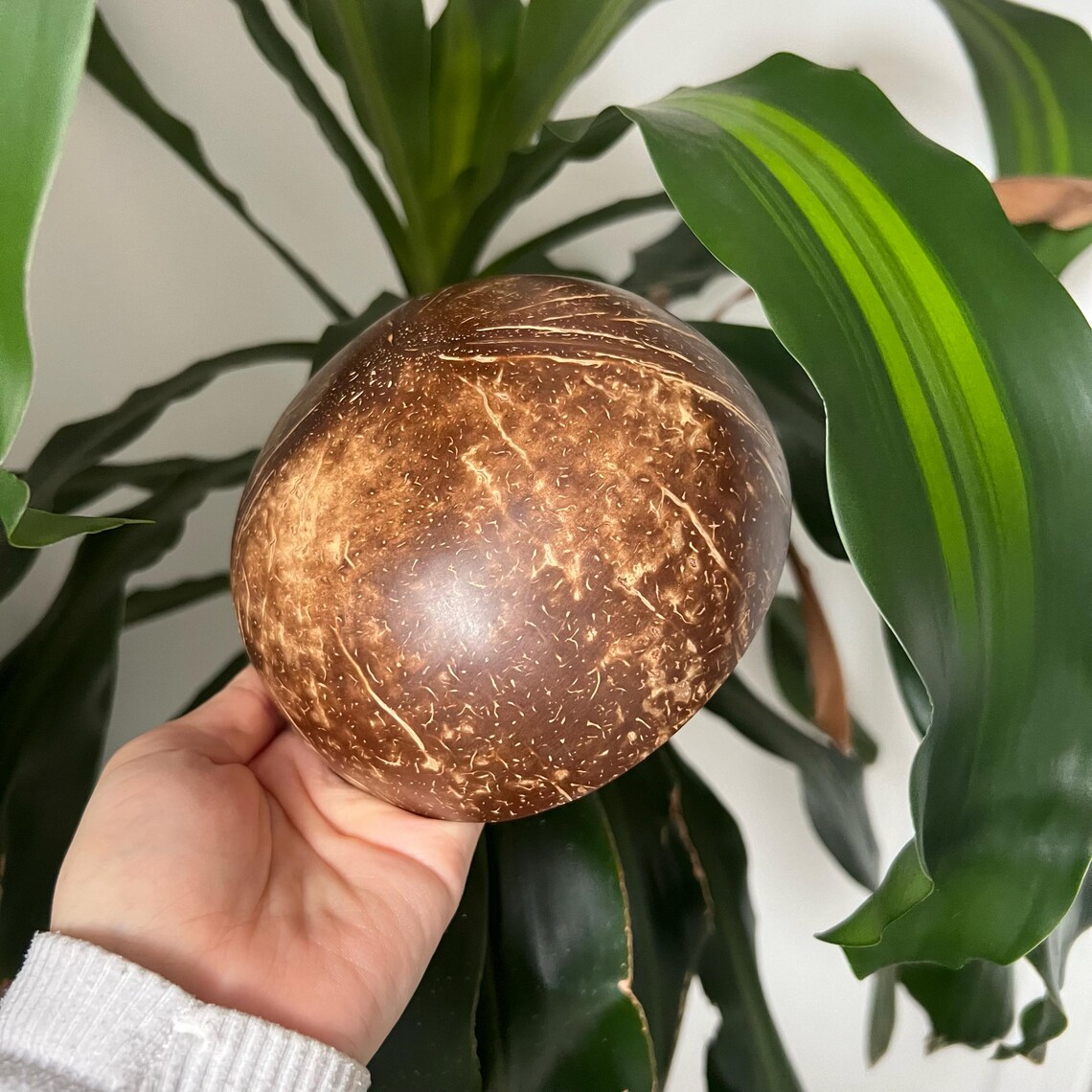 Natural Coconut Bowls, Eco-Friendly Serving Bowl - Image 2