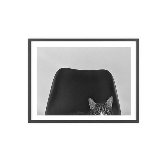 Tabby Cat Peeking Behind Black Chair Photography Wall Poster