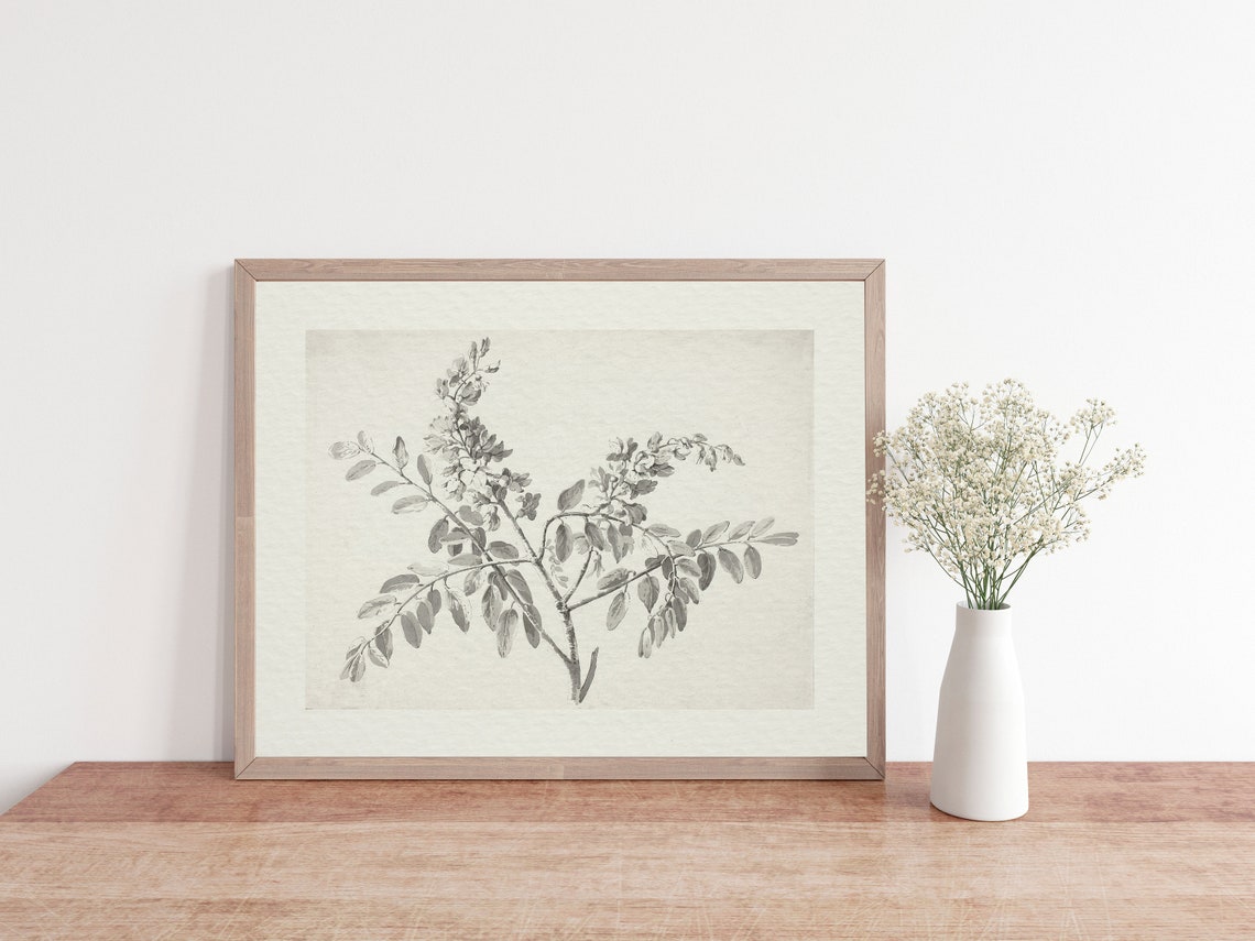 Vintage Branch Sketch, Antique Botanical Art Print - Image 2
