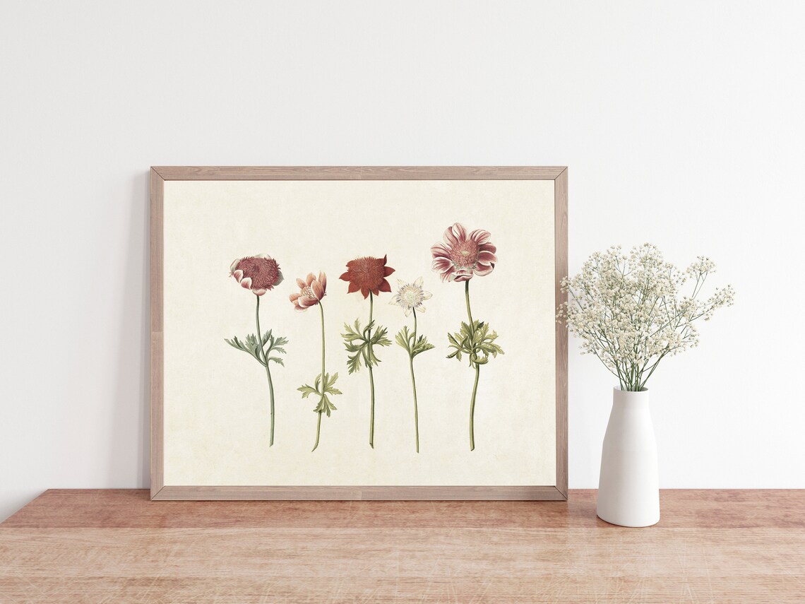 Antique Flower Drawing, Rustic Botanical Art Print - Image 3