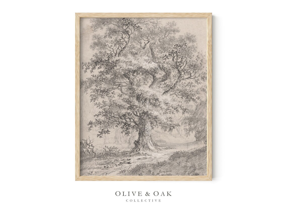 Vintage Tree Sketch, Rustic Tree Drawing Art Print - Image 4
