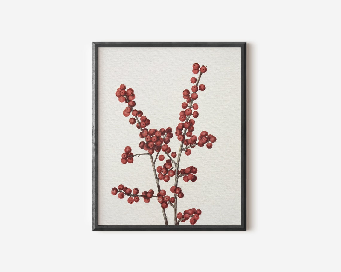 Vintage Branch Sketch, Antique Botanical Art Print - Image 4