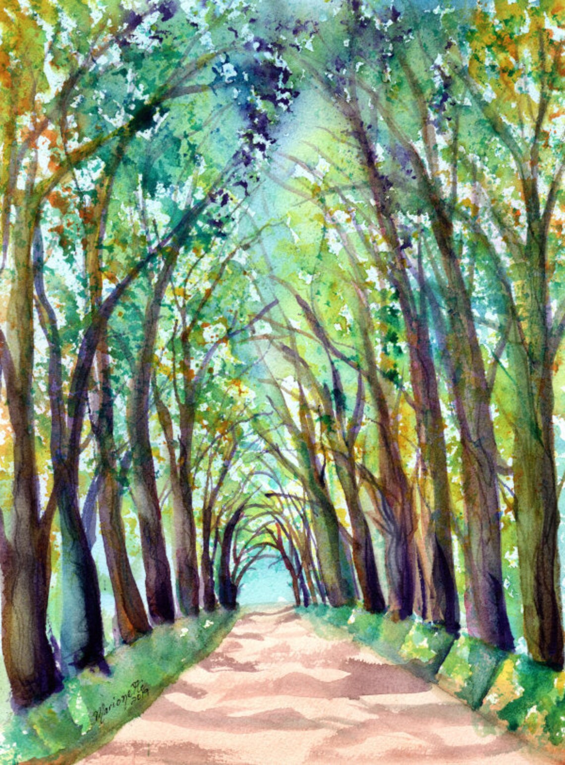 Kauai Tree Tunnel Art Print, Kauai Hawaii Scene