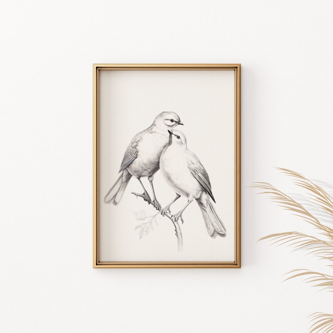 Two White Songbirds Black and White Pencil Sketch Art Poster