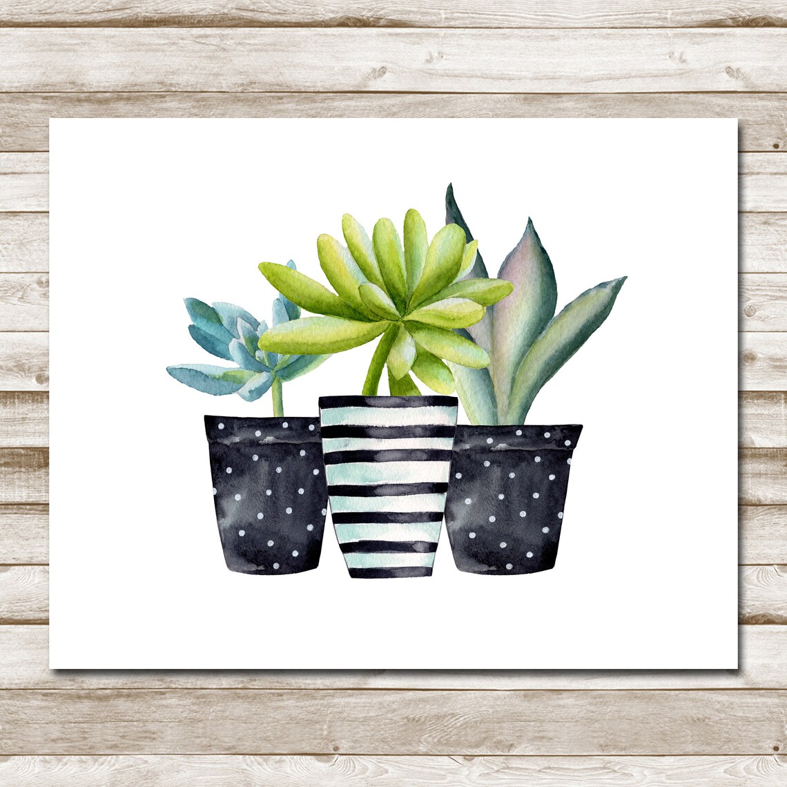 Potted Succulents Watercolor Botanical Wall Art - Image 8
