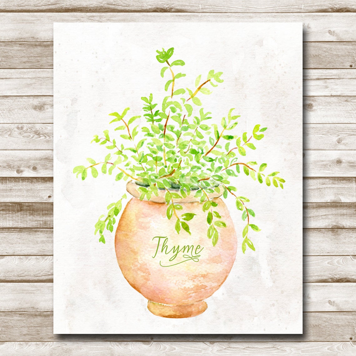 Thyme Watercolor Herb in Terracotta Pot Kitchen Botanical Wall Poster - Image 4