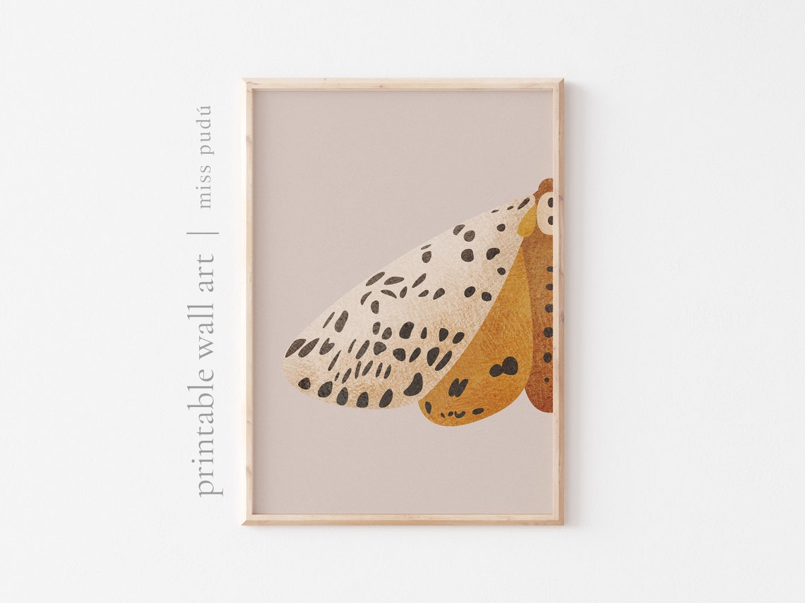 Spotted Moth Macro Illustration Nocturnal Insect Art Poster Nature