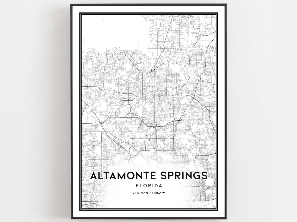 Altamonte Springs Florida Minimalist City Street Map Art Poster