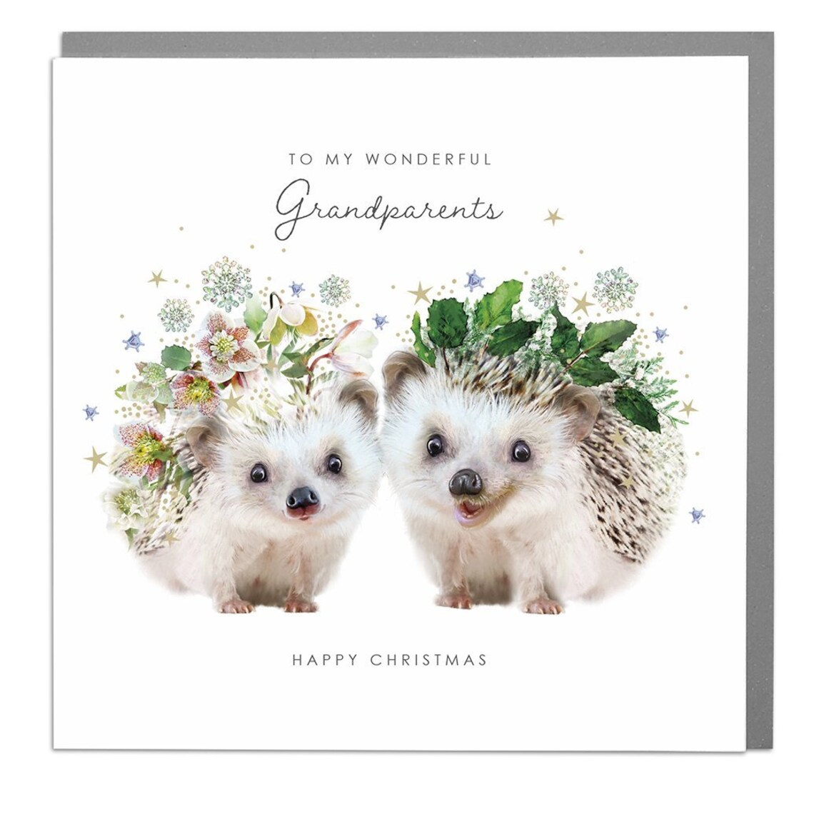 Hedgehogs Grandparents Happy Christmas Greeting