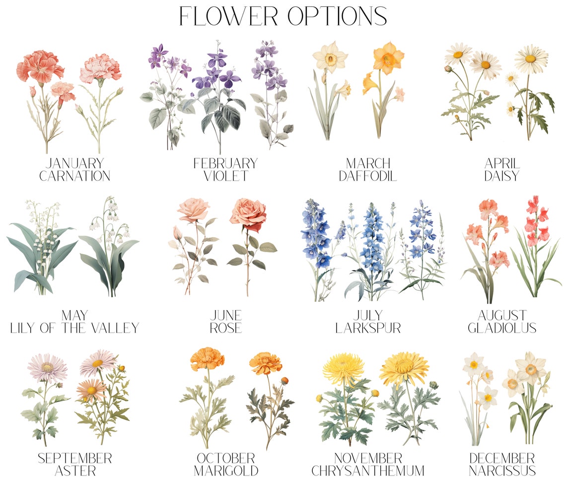 Grandmas Garden Watercolor Bouquet Rose Delphinium Daisy Poster - Image 3