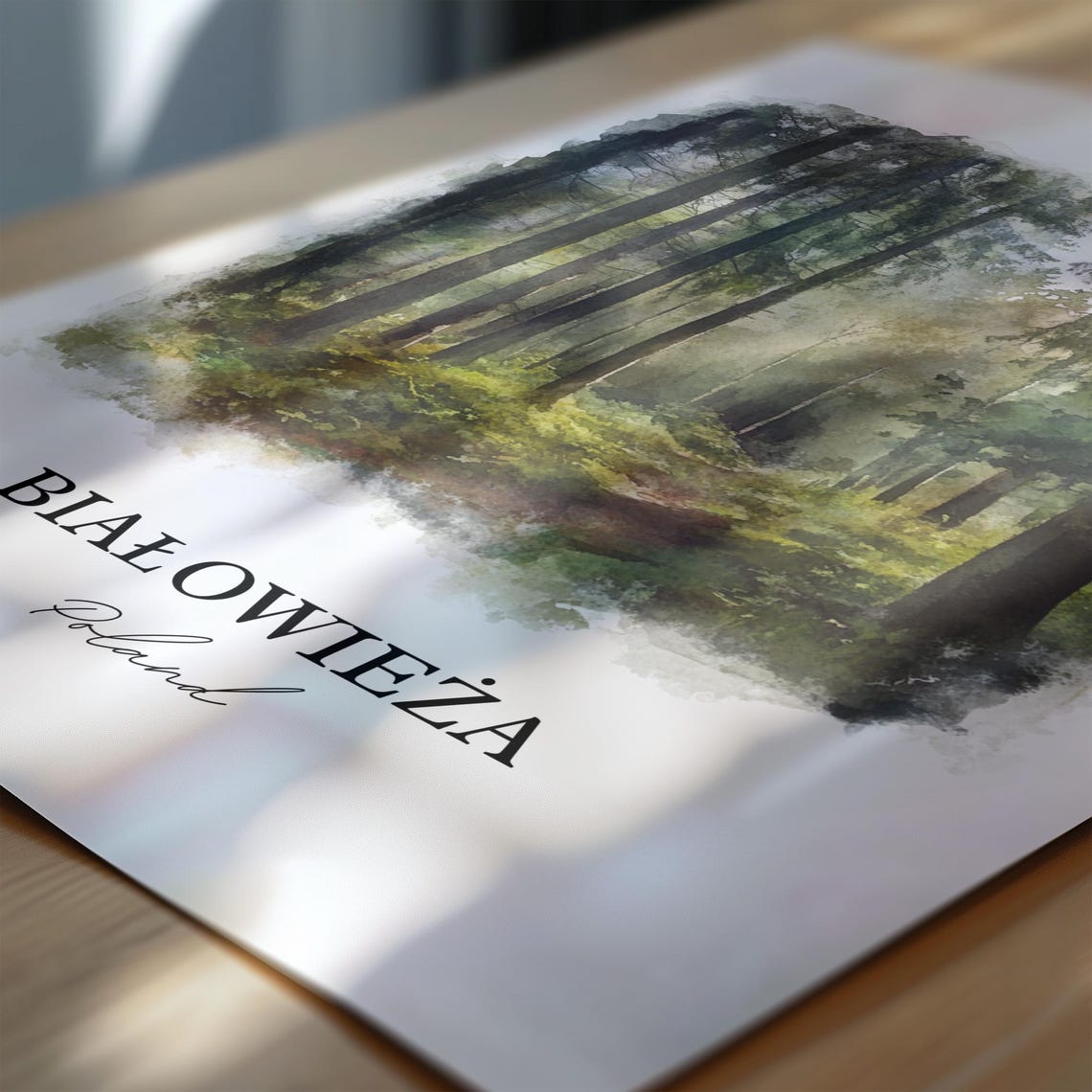Bialowieza Poland Watercolor Pine Forest Misty Woodland Path Poster - Image 2