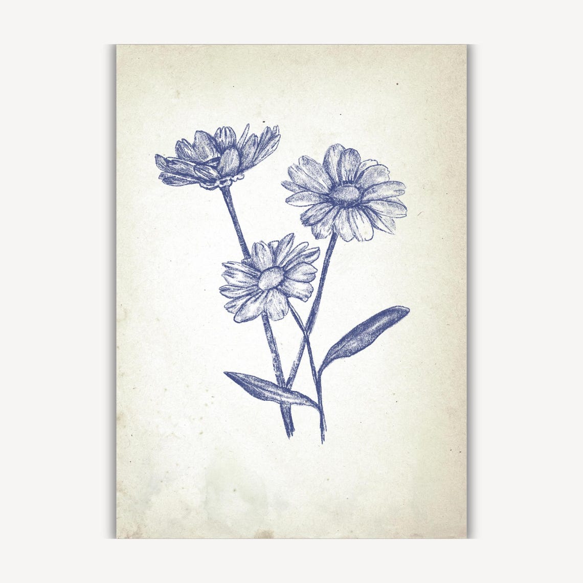Vintage Daisy Floral Gallery Wall Art - Image 3