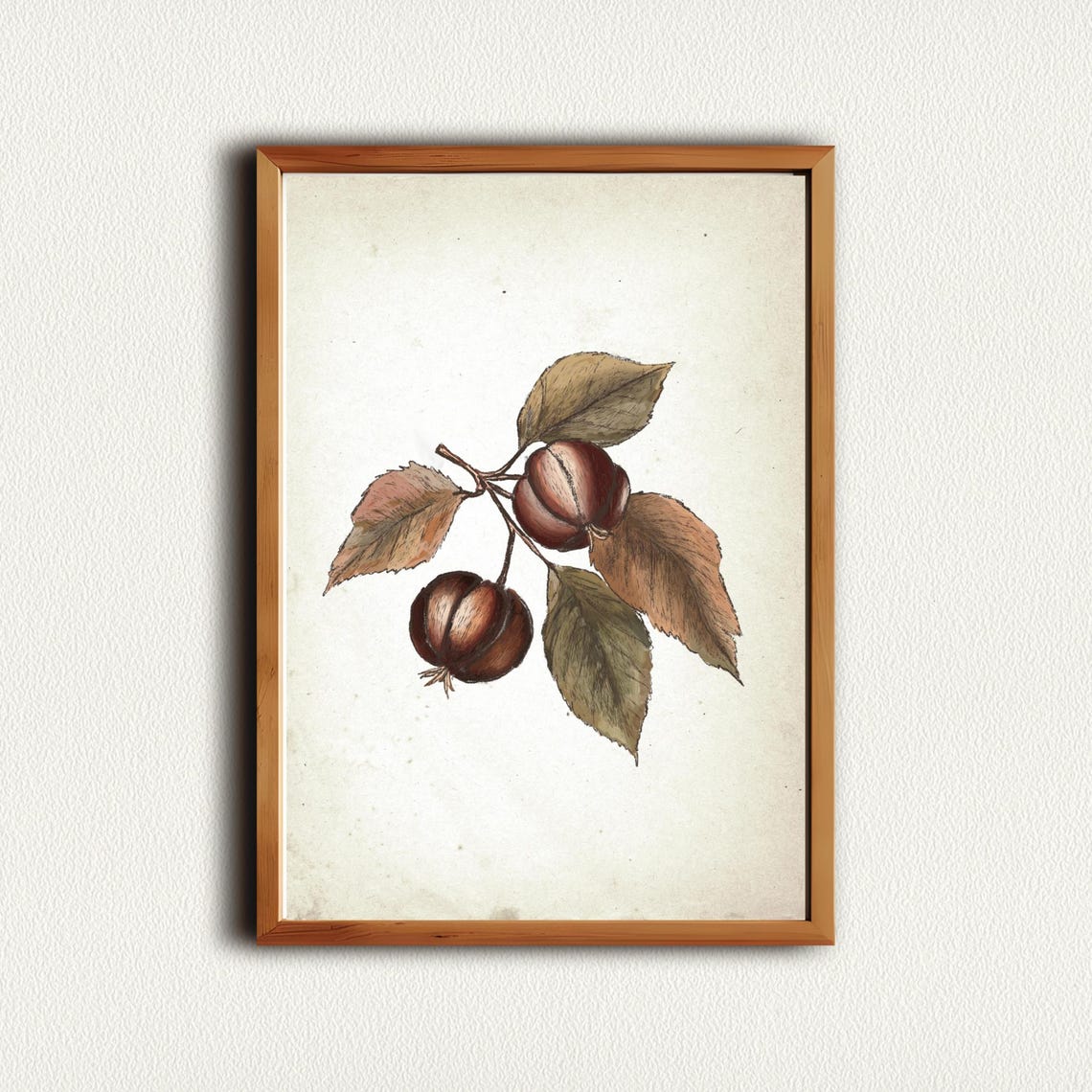 Vintage Chestnut Tree Branch Botanical Sketch Autumn Fall Wall Art - Image 3