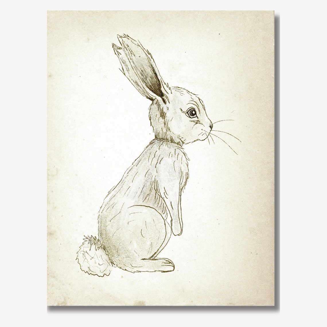 Rabbit Side Profile Antique Animal Sketch Nursery Art Poster - Image 2