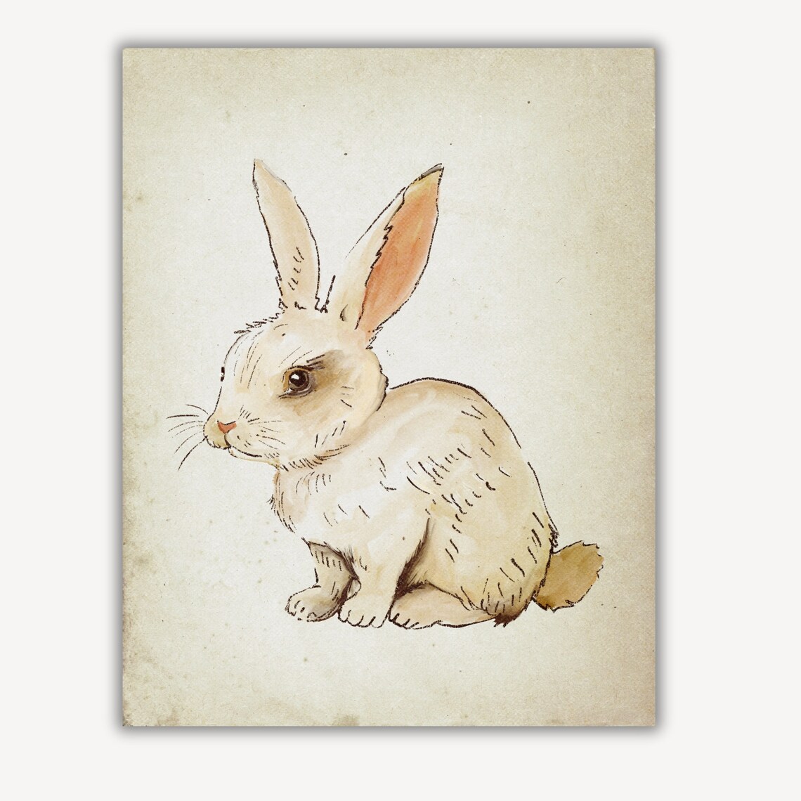 Sweet Baby Bunny Rabbit Watercolor Antique Nursery Animal Print - Image 2