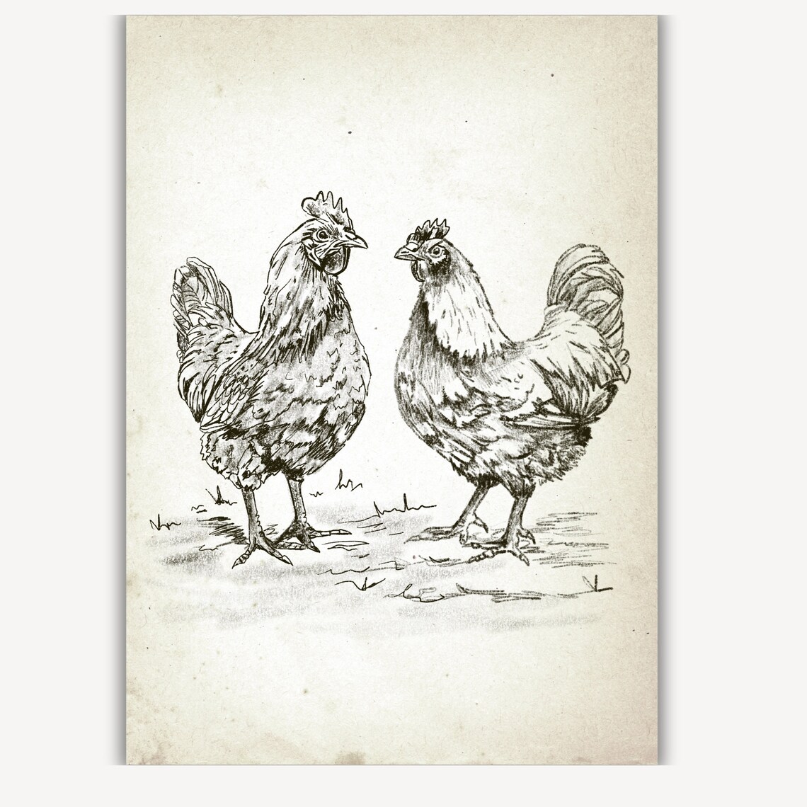 Two Chickens Hen Rooster Vintage Pencil Sketch Farmhouse Wall Art - Image 2