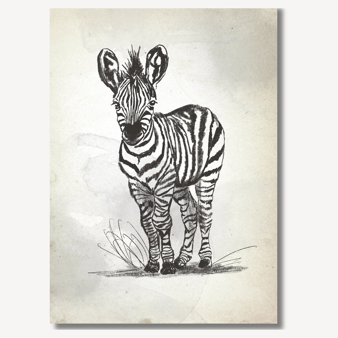 Baby Zebra Standing Sketch Safari Nursery Striped Animal Poster - Image 2