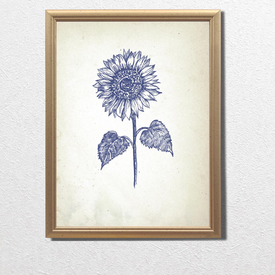 Blue Ink Sunflower Botanical Sketch In Vintage Floral Style Poster