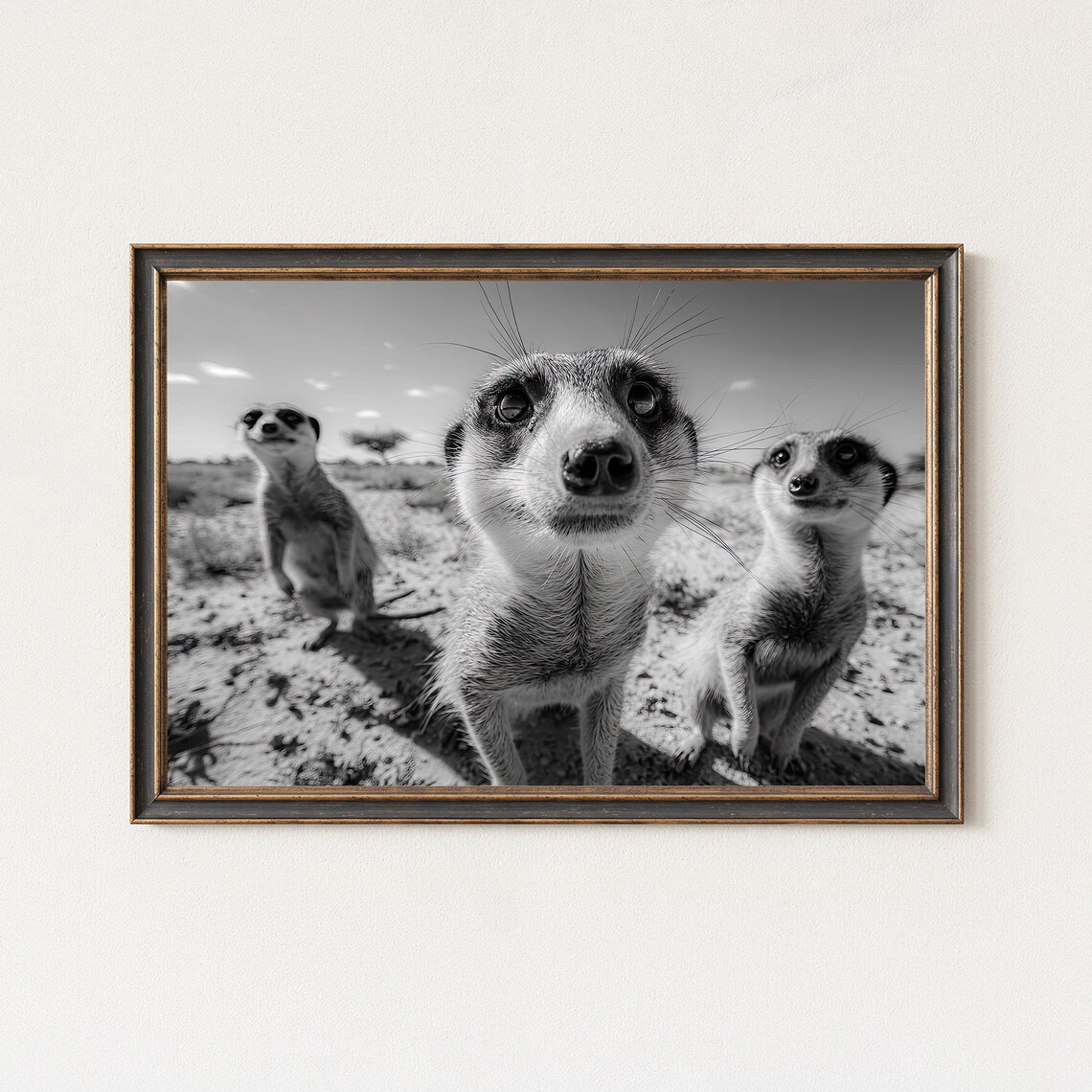 Meerkat Black White Photography Print Wildlife Wall Art